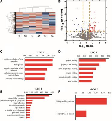 Characteristics of phosgene aspiration lung injury analyzed based on transcriptomics and proteomics